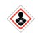 Nevs GHS Pictogram Label - Health Hazards 4" x 4" GHS-44-HH - alternate 1